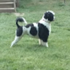 Meet your Posher, Sandy